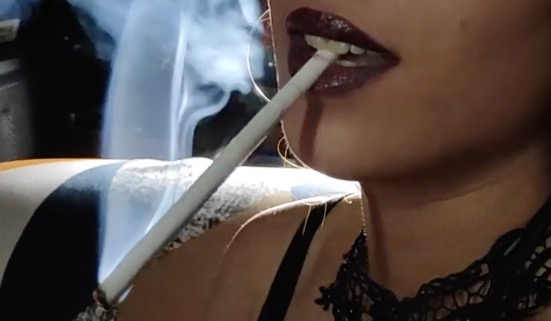 Smoking Kitten Close up smoke