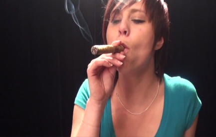 Destroying a cigar – QuebecSmoking